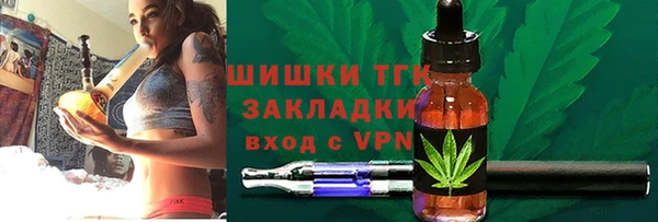 apvp Ельня